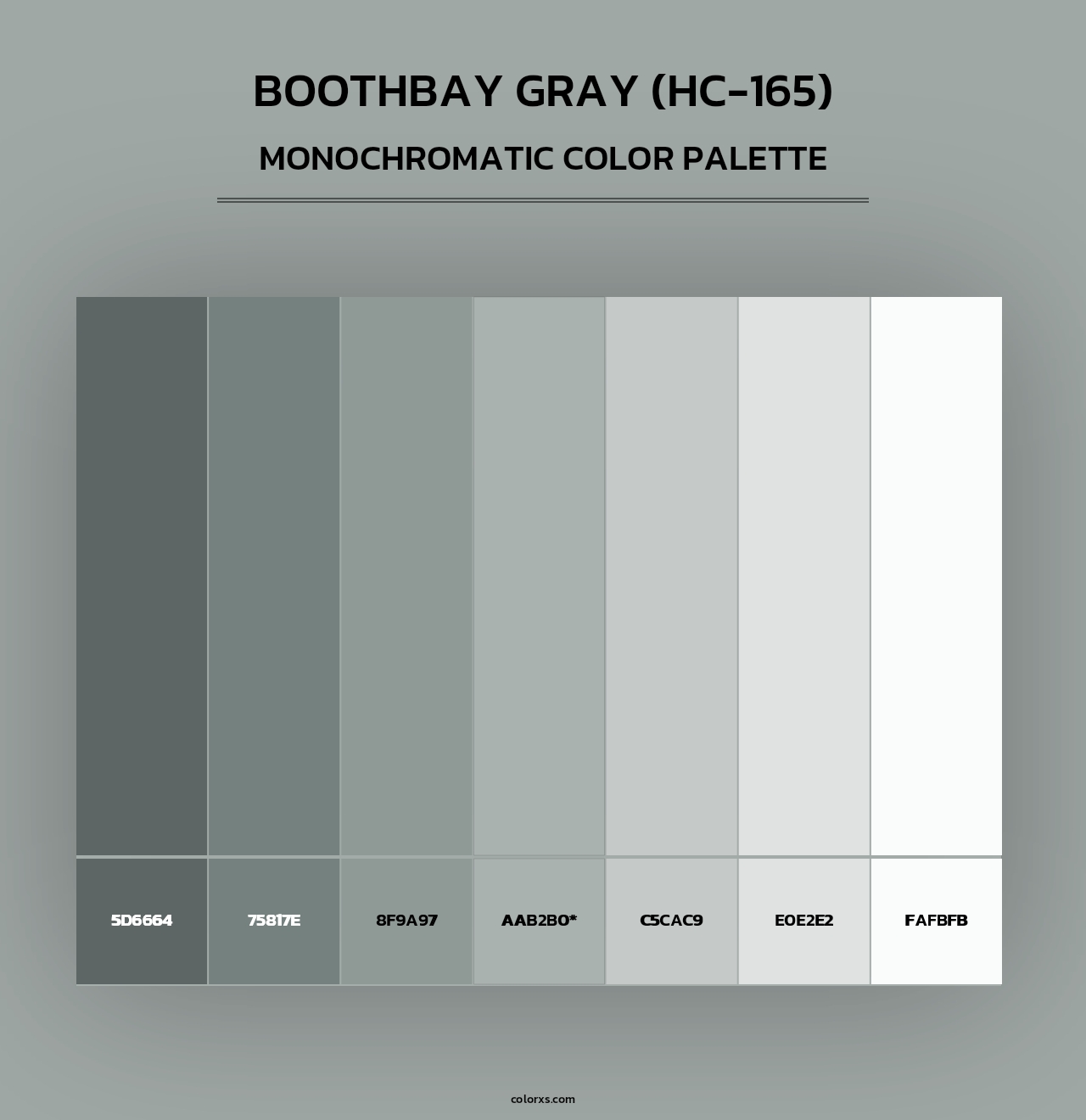 Boothbay Gray (HC-165) - Monochromatic Color Palette