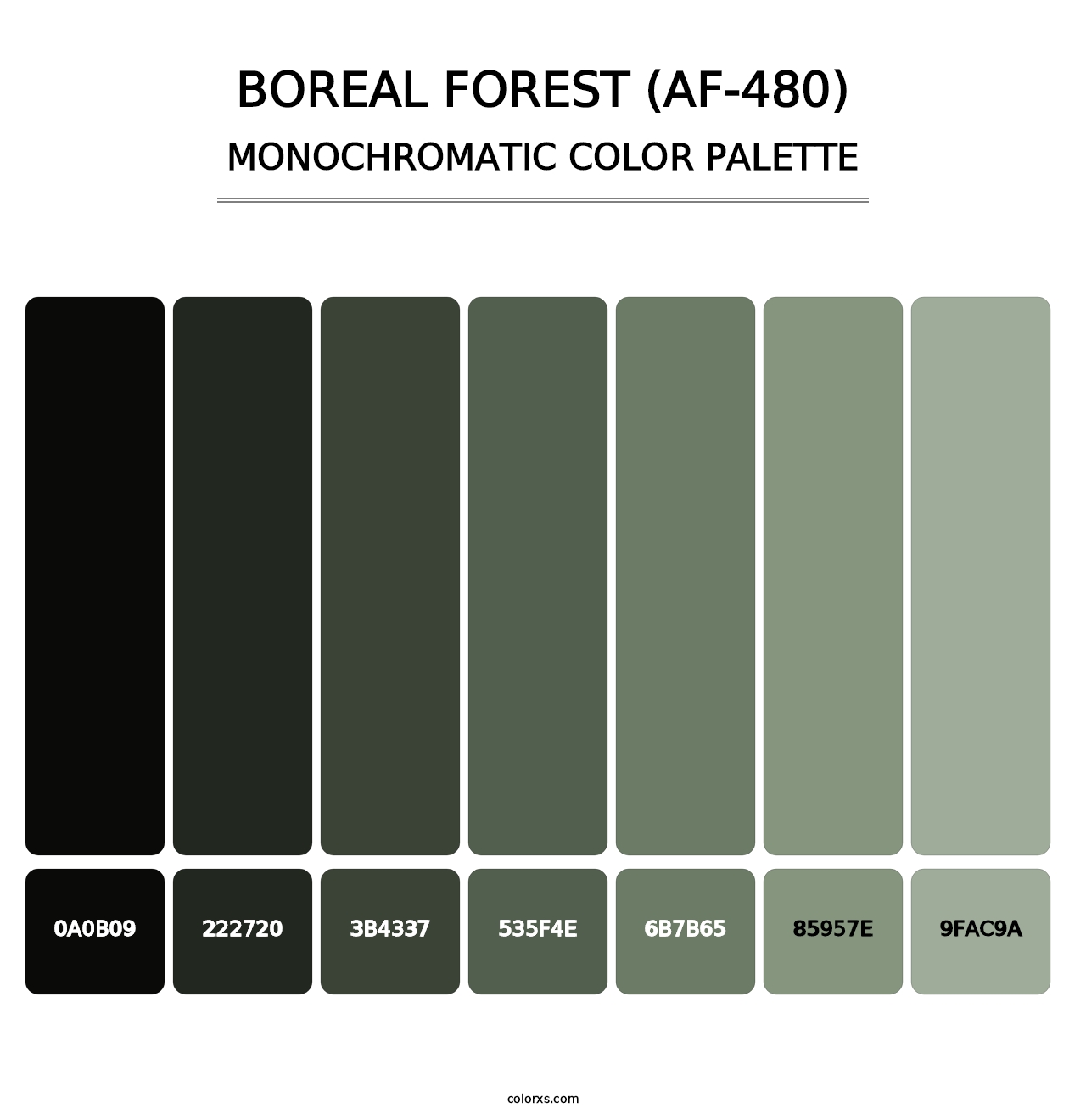 Boreal Forest (AF-480) - Monochromatic Color Palette