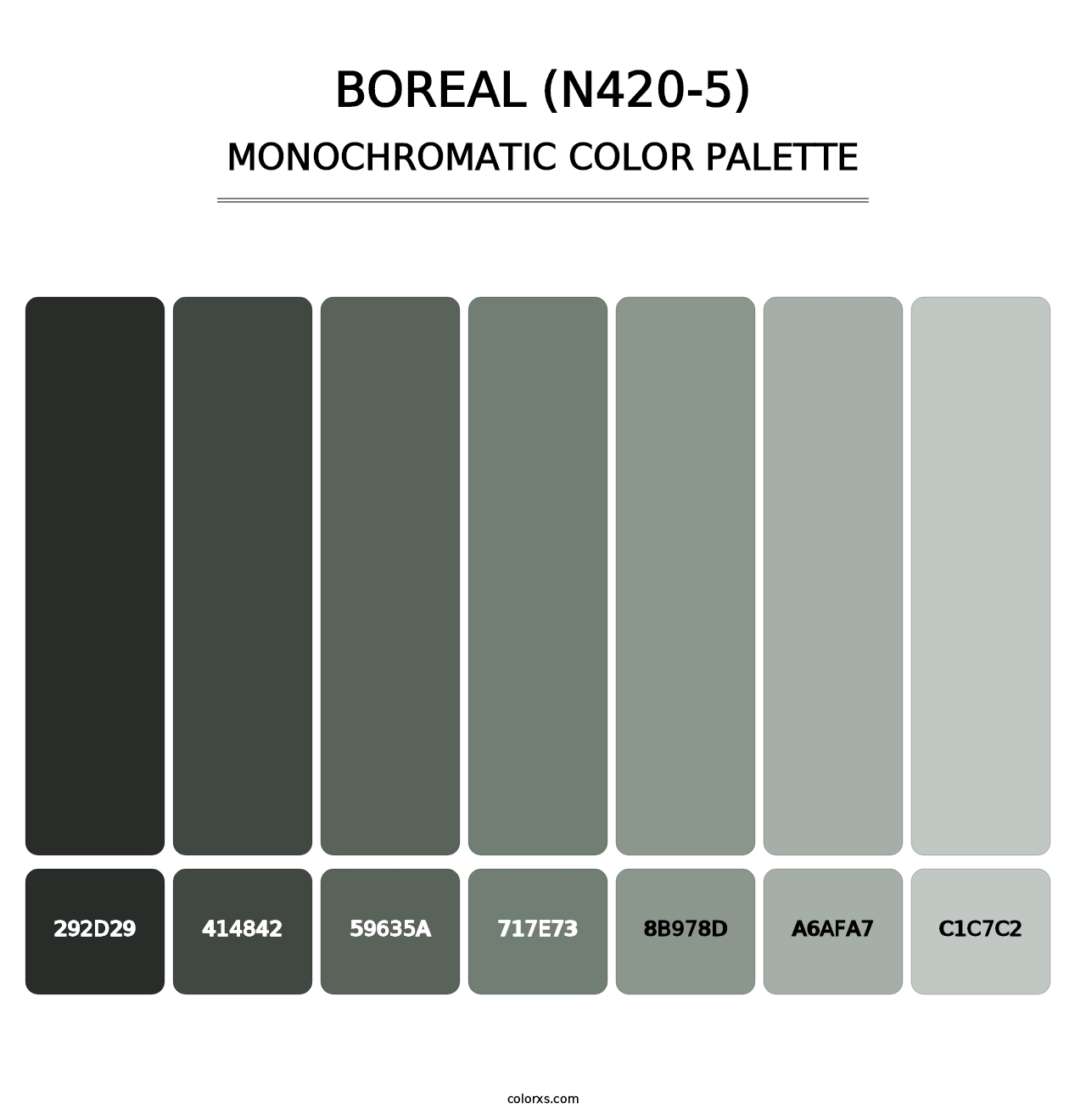 Boreal (N420-5) - Monochromatic Color Palette