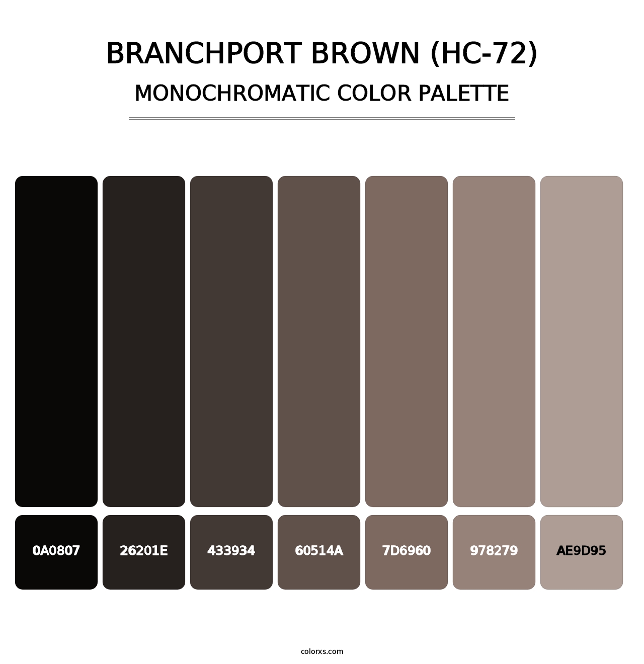 Branchport Brown (HC-72) - Monochromatic Color Palette