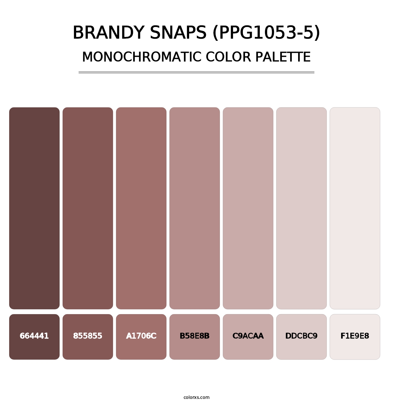 Brandy Snaps (PPG1053-5) - Monochromatic Color Palette