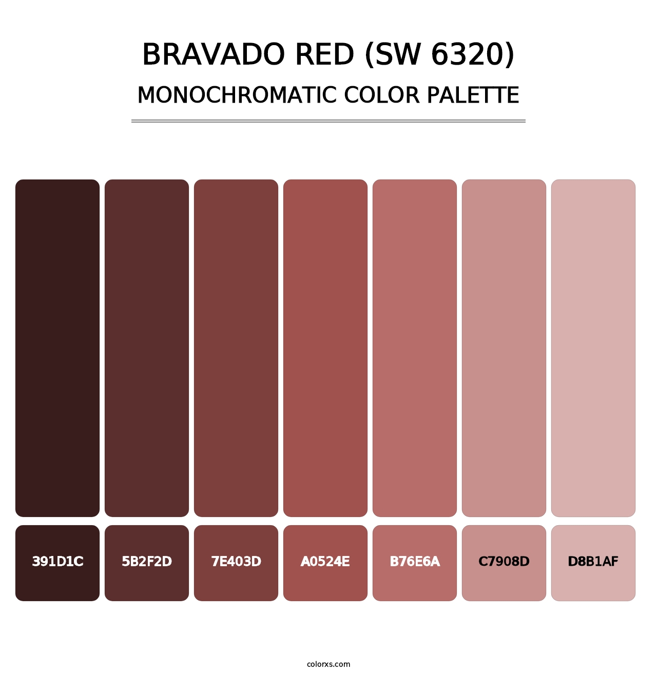 Bravado Red (SW 6320) - Monochromatic Color Palette