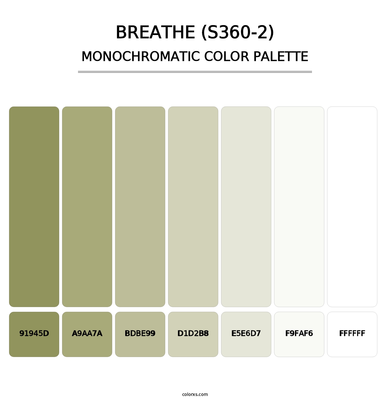 Breathe (S360-2) - Monochromatic Color Palette