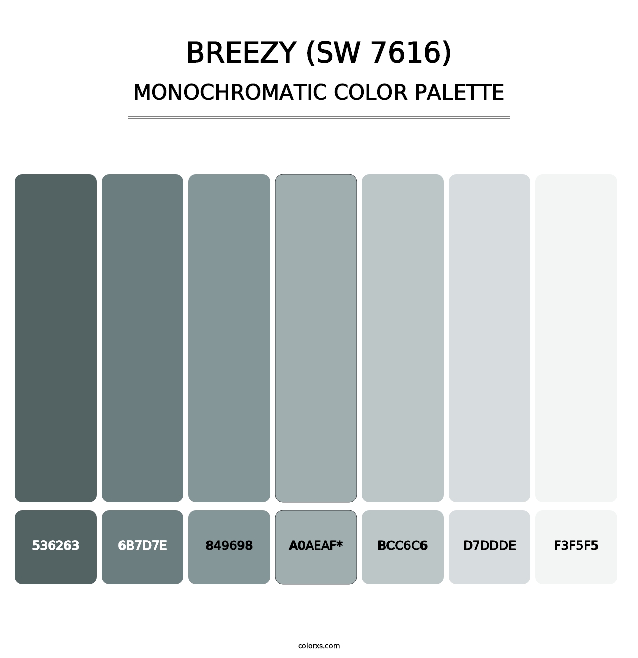 Breezy (SW 7616) - Monochromatic Color Palette