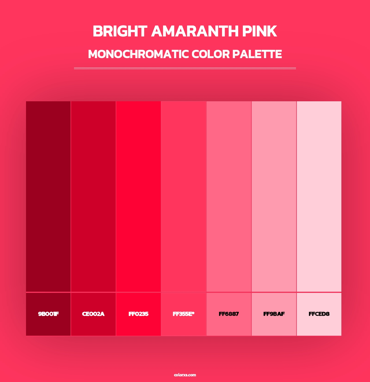Bright Amaranth Pink - Monochromatic Color Palette