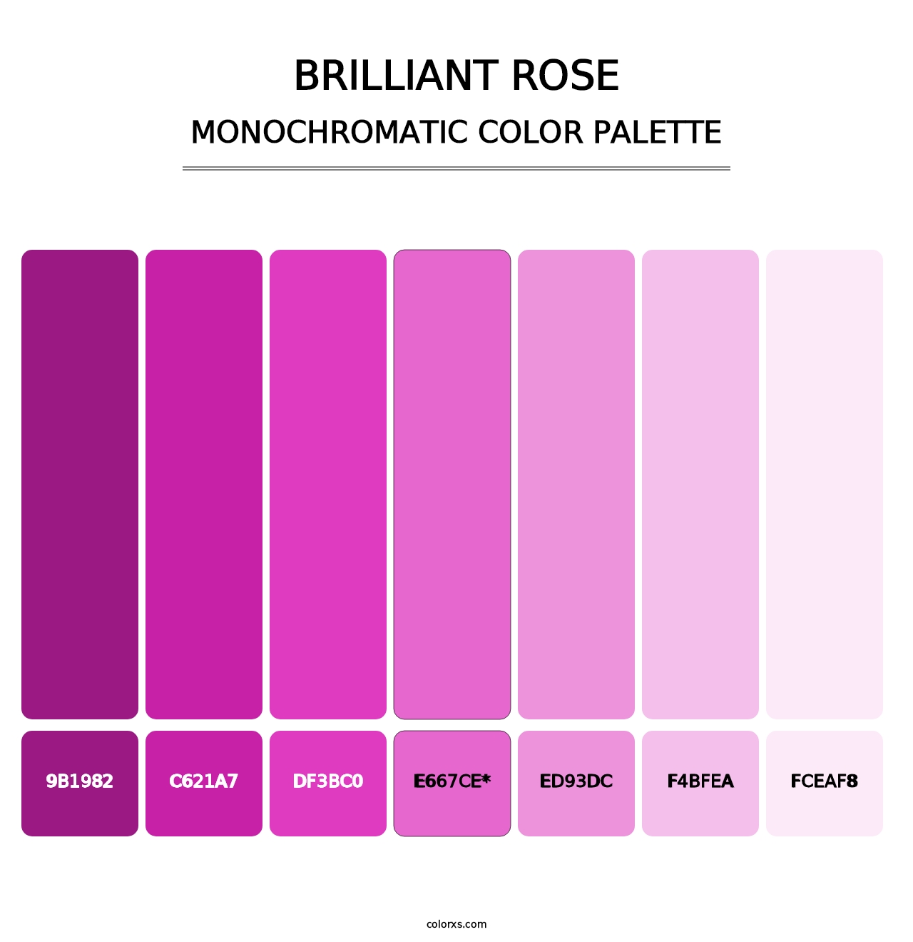 Brilliant Rose - Monochromatic Color Palette