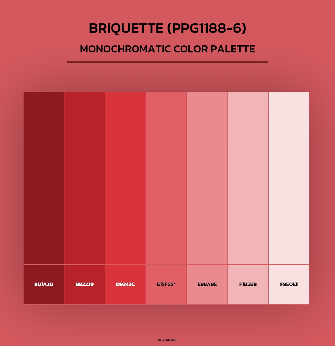 Briquette (PPG1188-6) - Monochromatic Color Palette