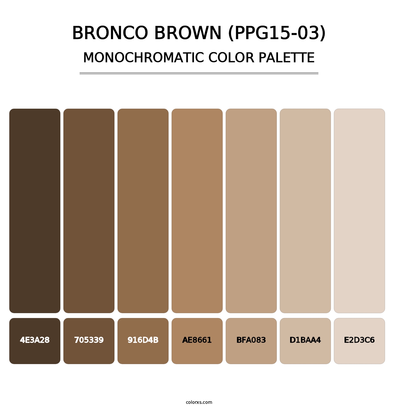 Bronco Brown (PPG15-03) - Monochromatic Color Palette