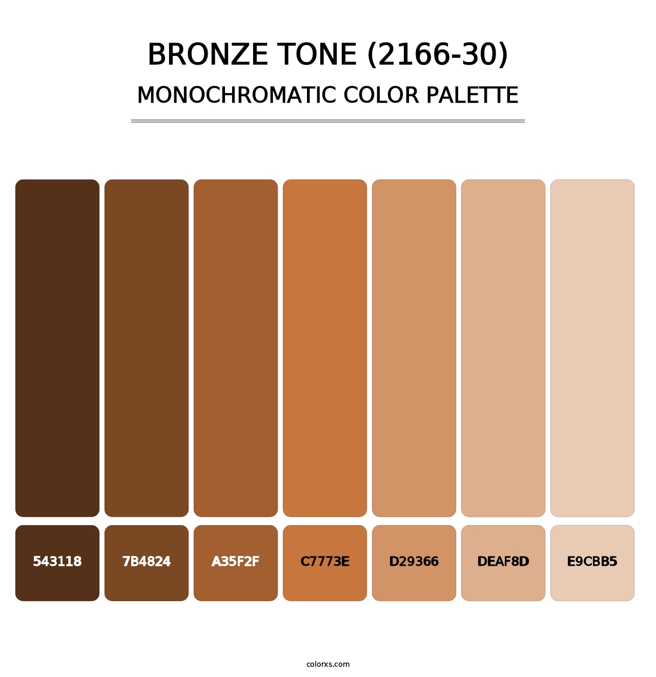 Bronze Tone (2166-30) - Monochromatic Color Palette