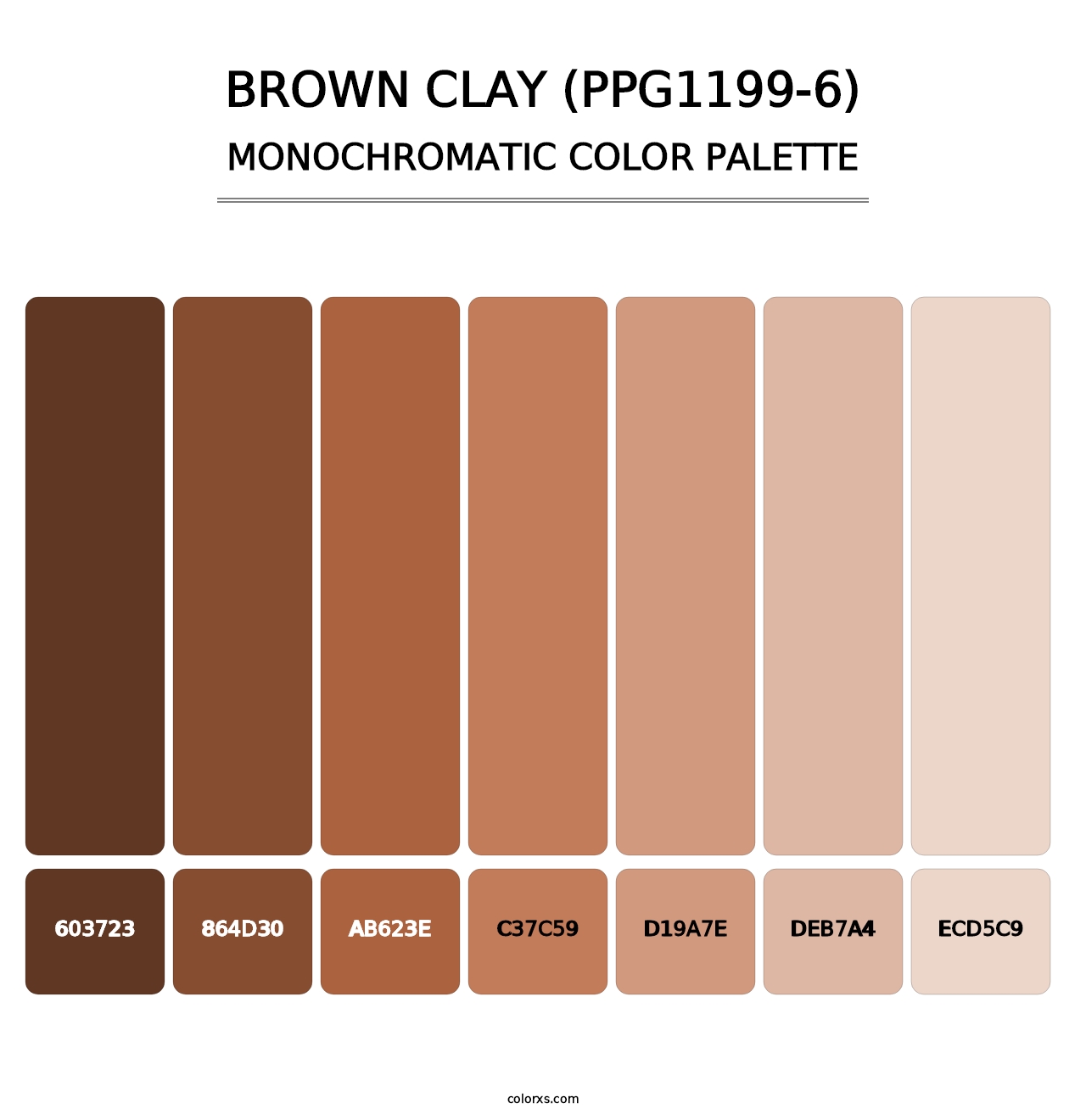 Brown Clay (PPG1199-6) - Monochromatic Color Palette