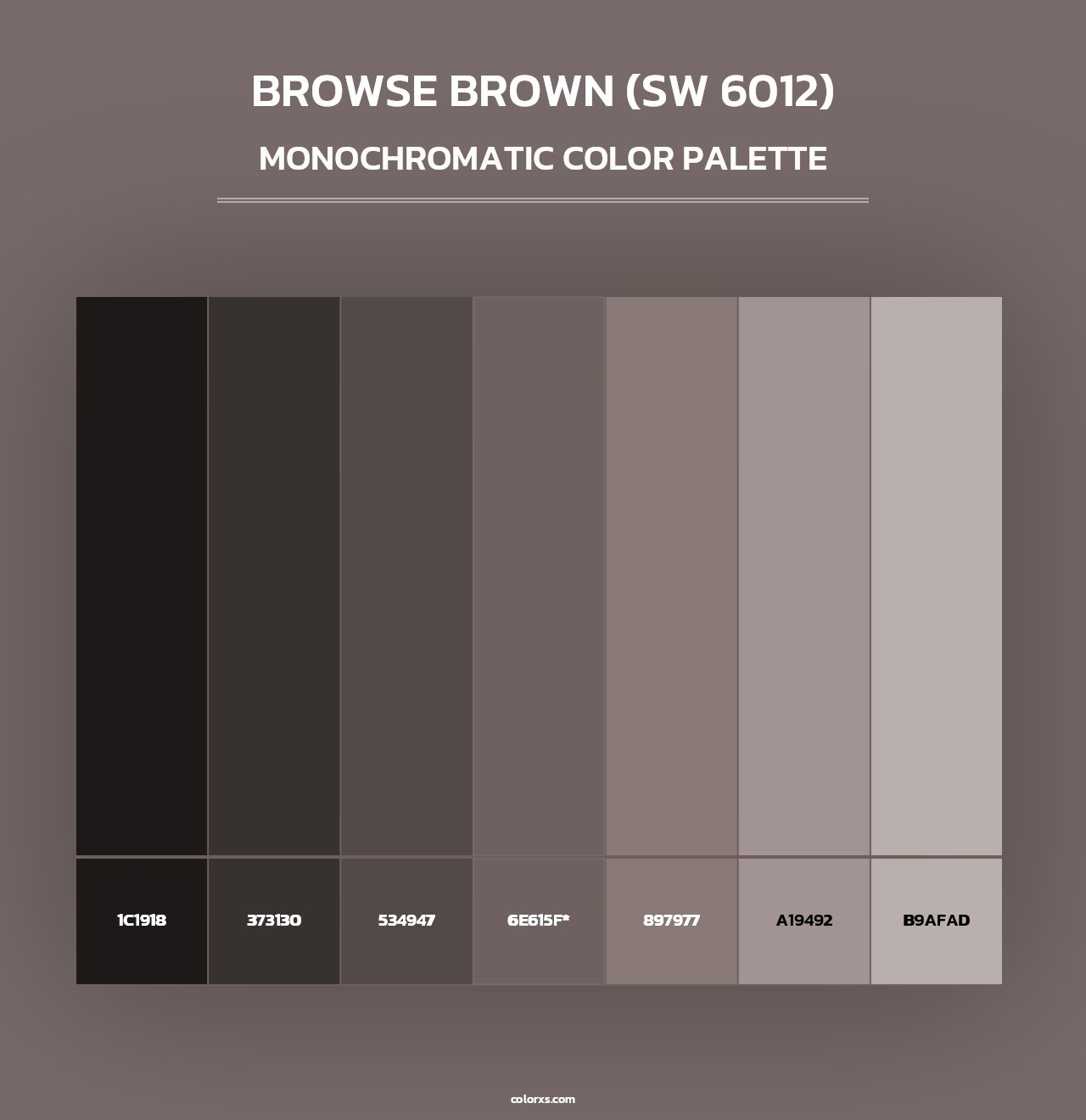 Browse Brown (SW 6012) - Monochromatic Color Palette