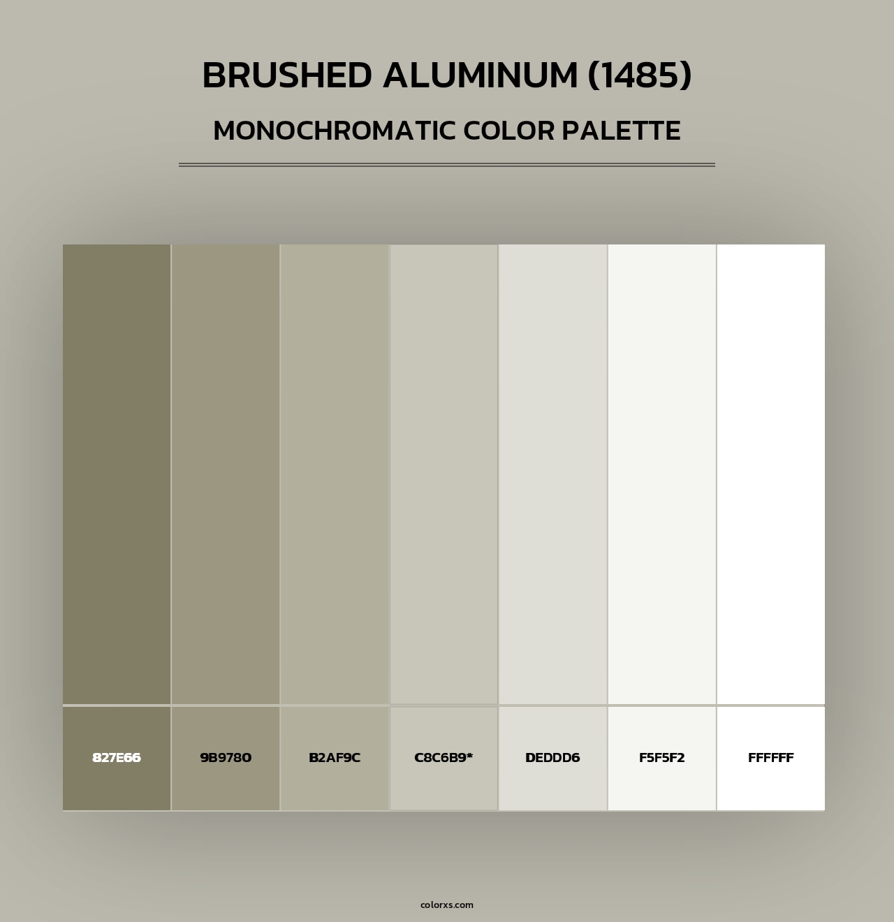 Brushed Aluminum (1485) - Monochromatic Color Palette