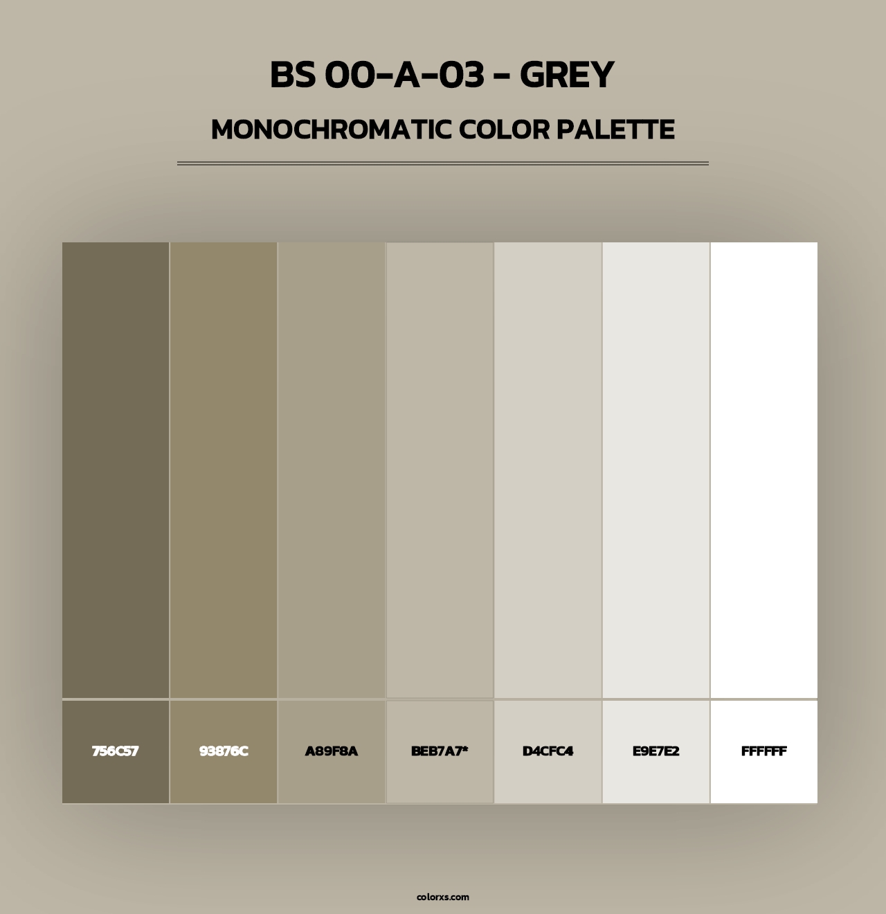 BS 00-A-03 - Grey - Monochromatic Color Palette