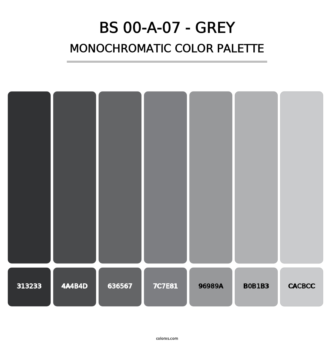 BS 00-A-07 - Grey - Monochromatic Color Palette