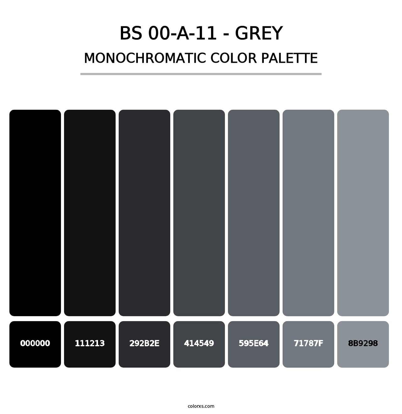 BS 00-A-11 - Grey - Monochromatic Color Palette