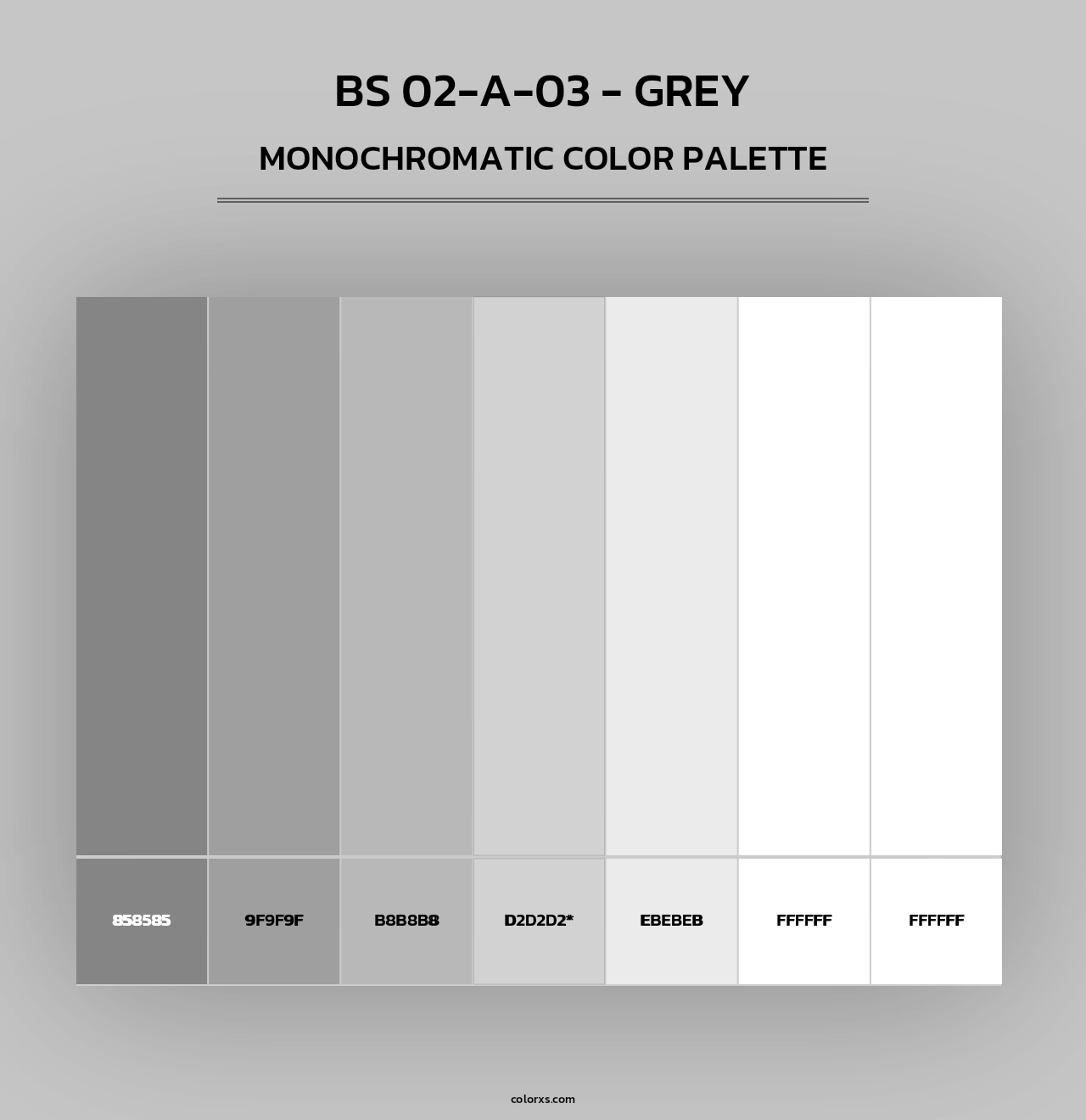 BS 02-A-03 - Grey - Monochromatic Color Palette