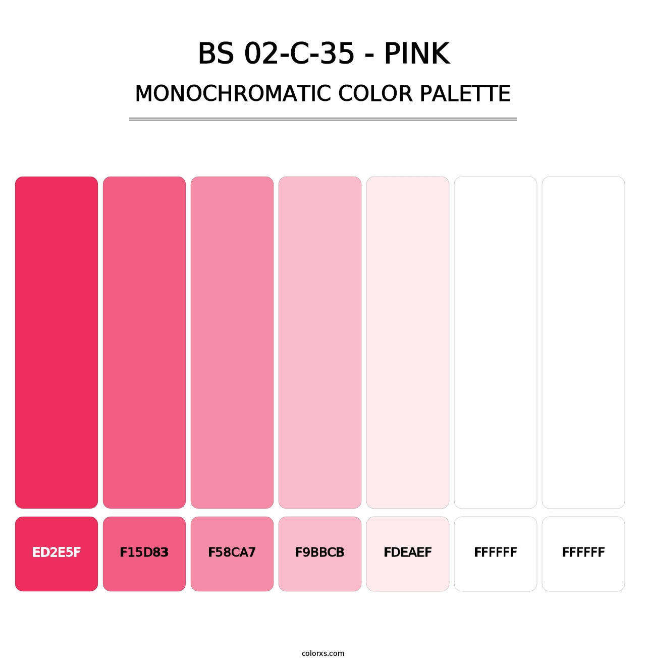 BS 02-C-35 - Pink - Monochromatic Color Palette