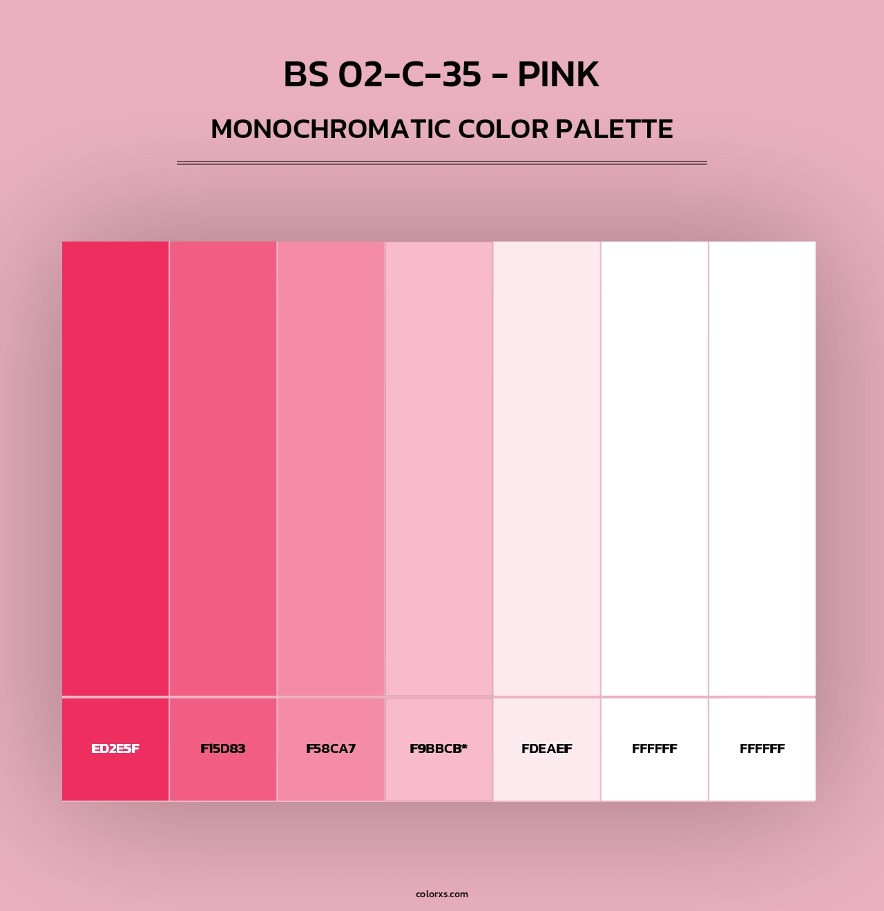 BS 02-C-35 - Pink - Monochromatic Color Palette
