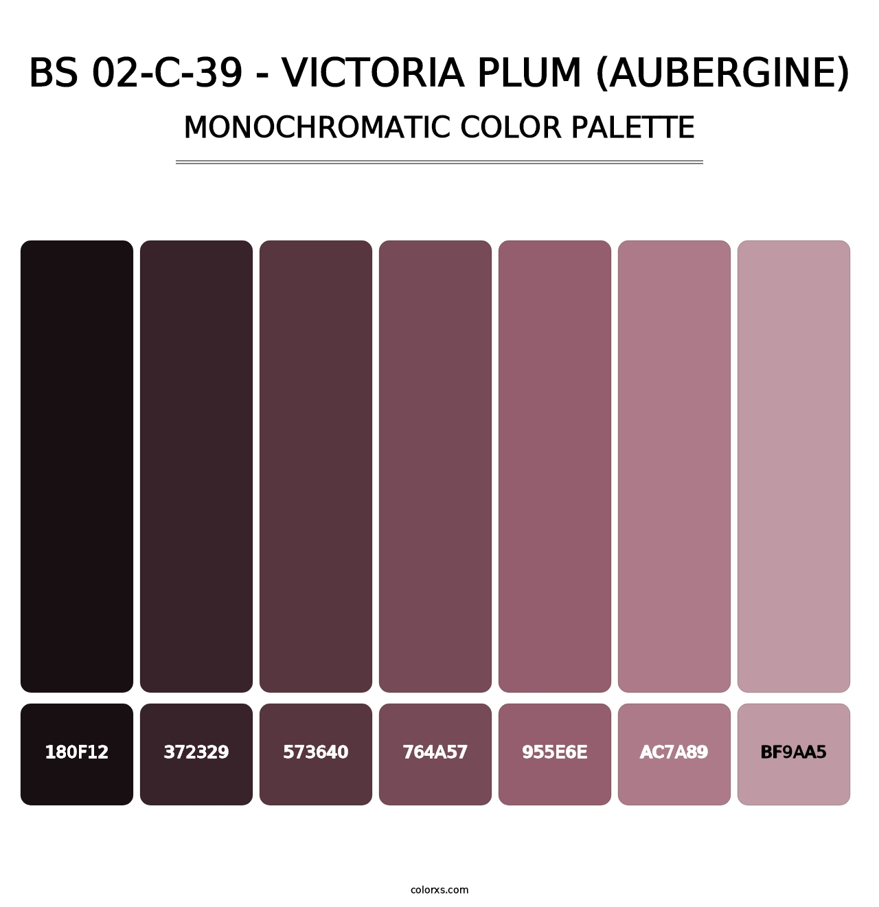 BS 02-C-39 - Victoria Plum (Aubergine) - Monochromatic Color Palette