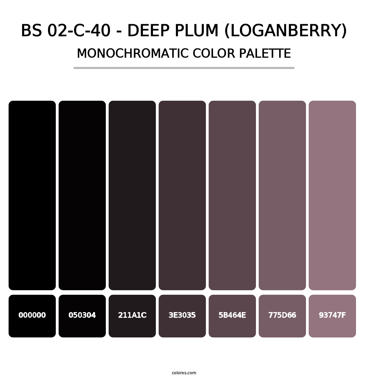 BS 02-C-40 - Deep Plum (Loganberry) - Monochromatic Color Palette