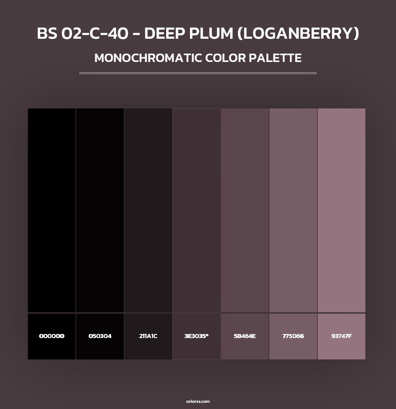 BS 02-C-40 - Deep Plum (Loganberry) - Monochromatic Color Palette