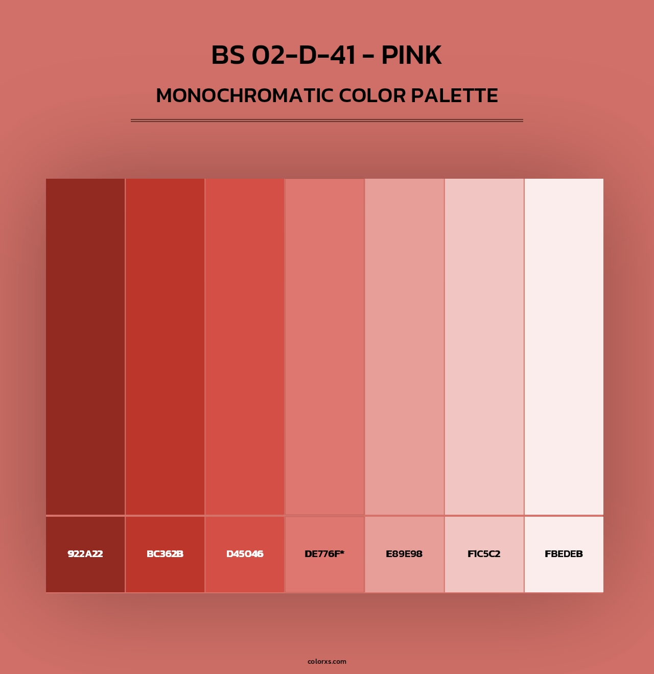 BS 02-D-41 - Pink - Monochromatic Color Palette