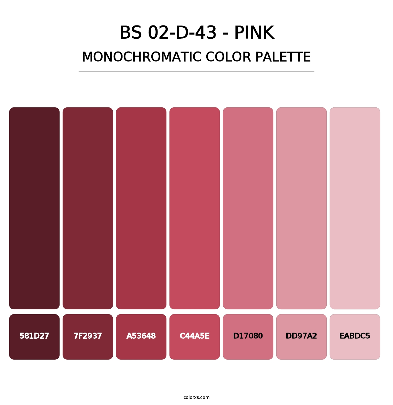 BS 02-D-43 - Pink - Monochromatic Color Palette