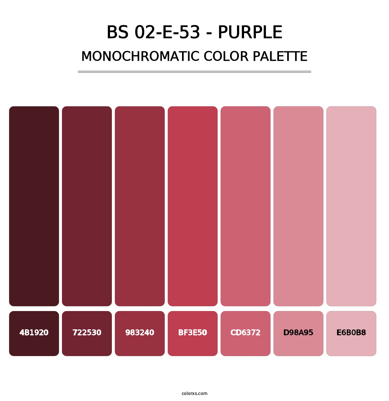 BS 02-E-53 - Purple - Monochromatic Color Palette