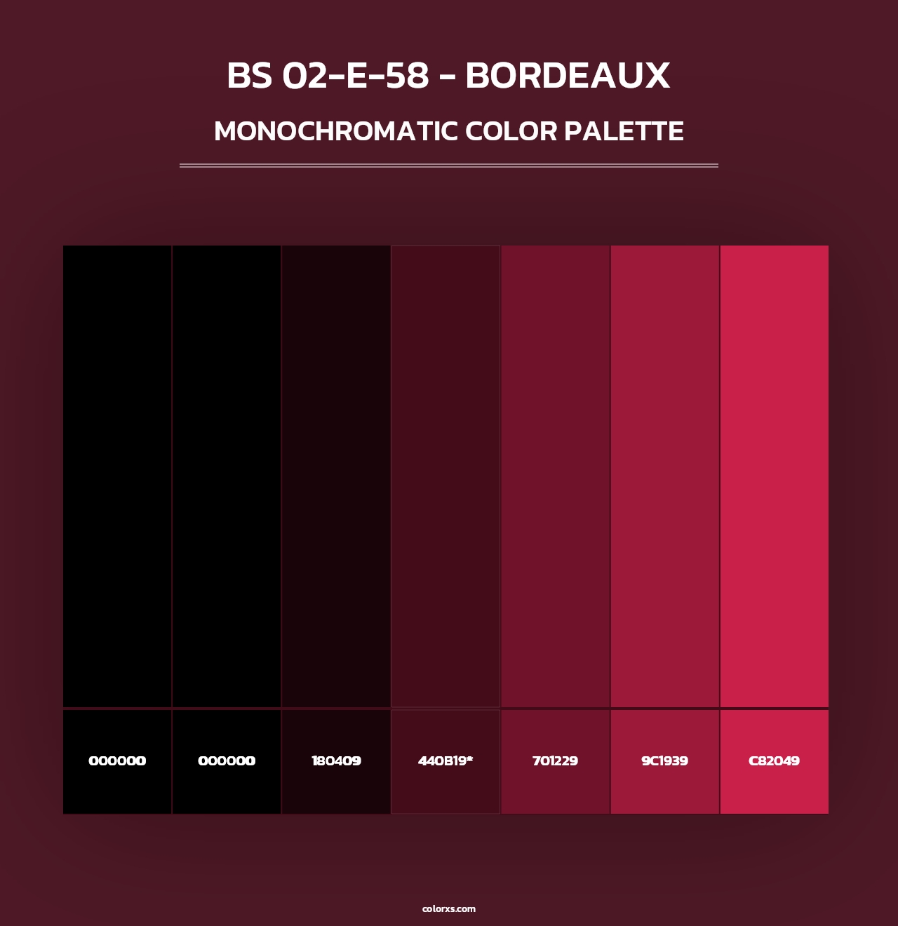 BS 02-E-58 - Bordeaux - Monochromatic Color Palette