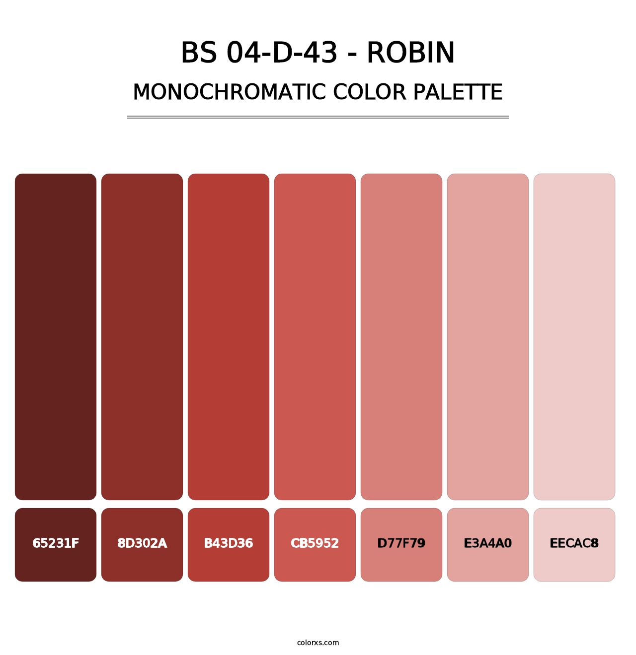 BS 04-D-43 - Robin - Monochromatic Color Palette