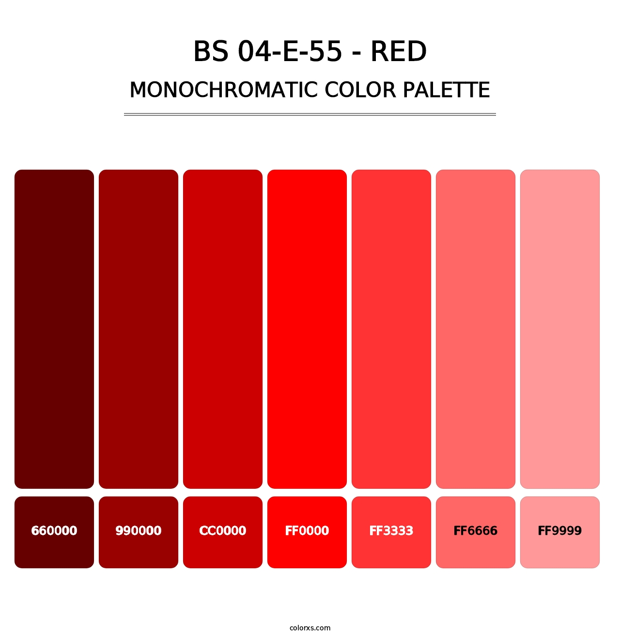 BS 04-E-55 - Red - Monochromatic Color Palette