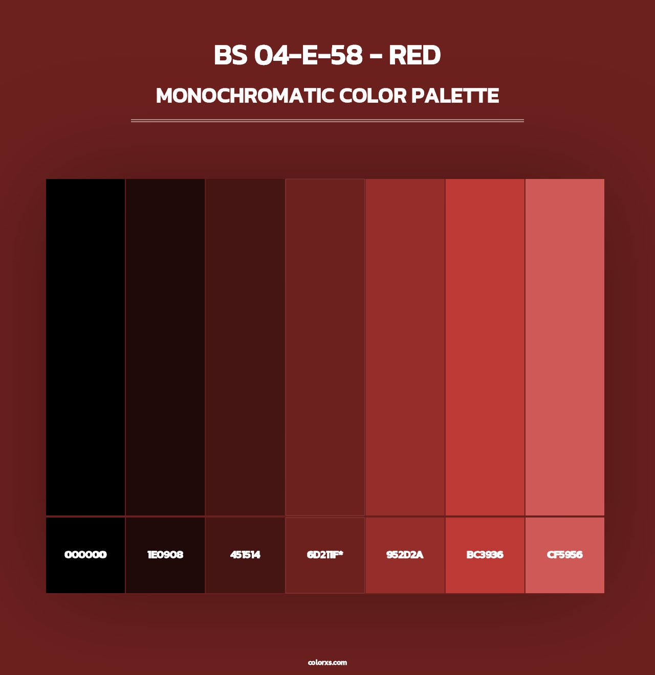 BS 04-E-58 - Red - Monochromatic Color Palette