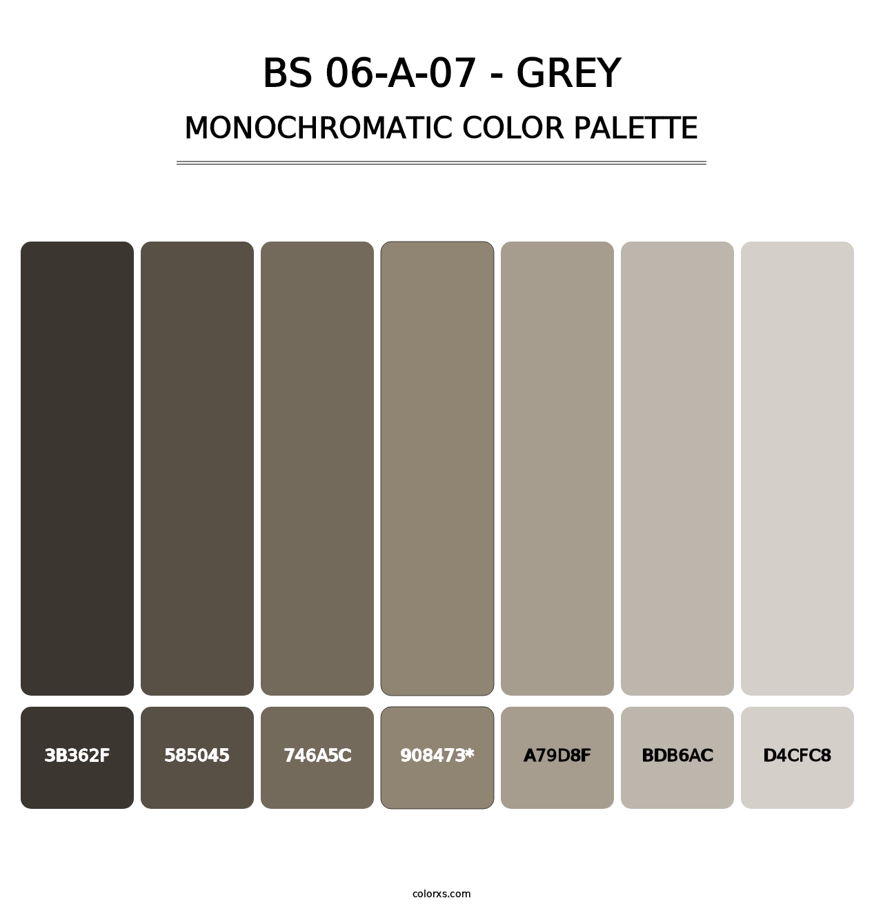 BS 06-A-07 - Grey - Monochromatic Color Palette