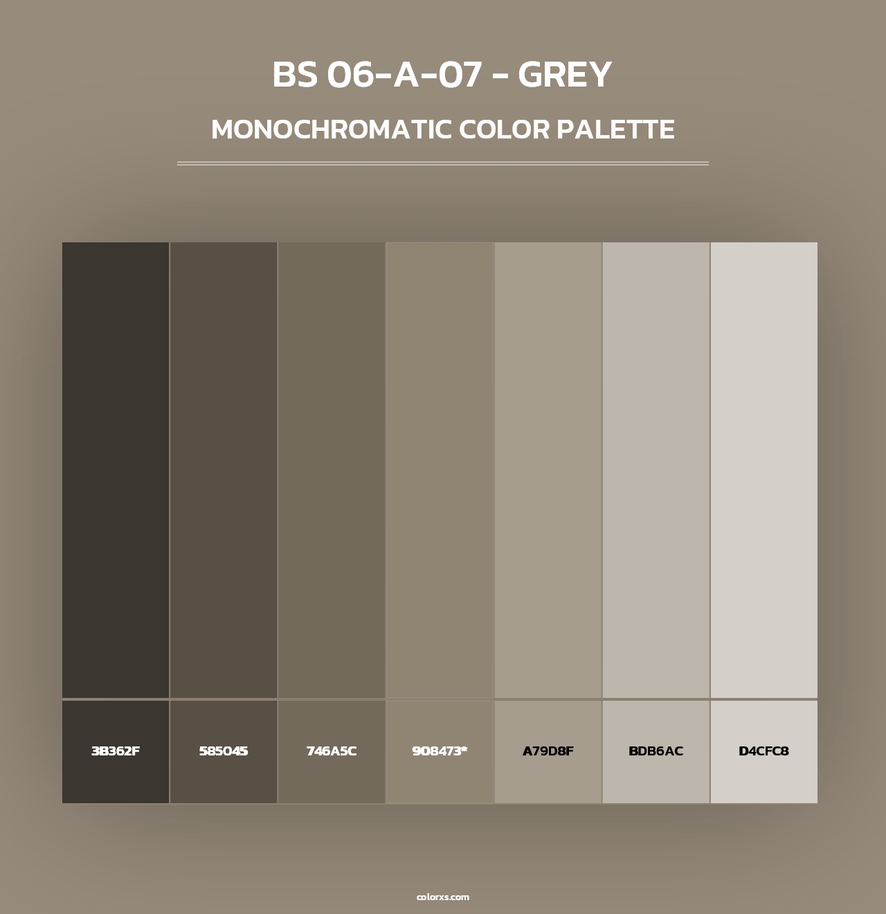 BS 06-A-07 - Grey - Monochromatic Color Palette