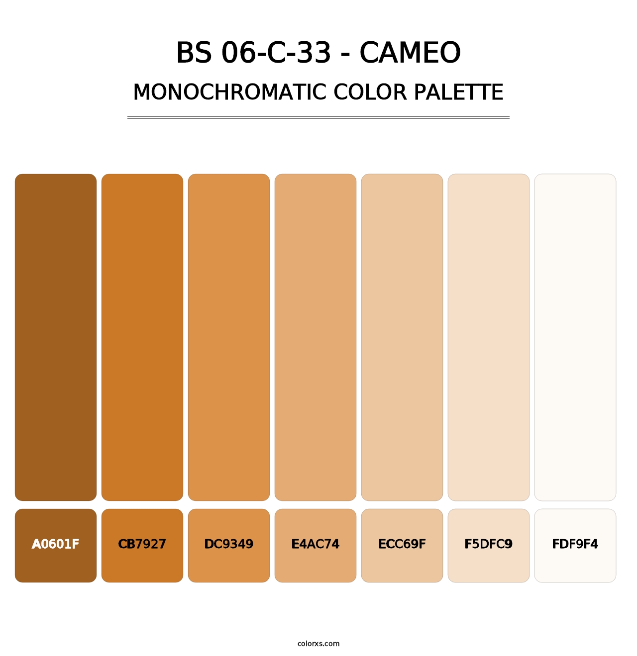 BS 06-C-33 - Cameo - Monochromatic Color Palette