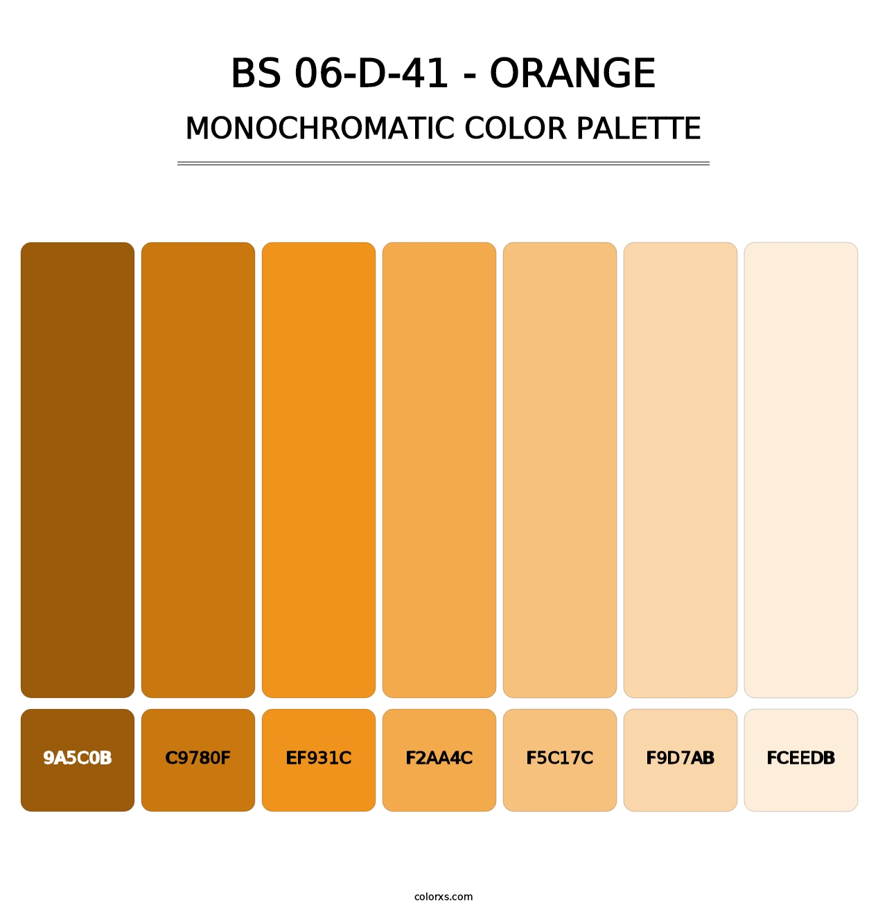 BS 06-D-41 - Orange - Monochromatic Color Palette
