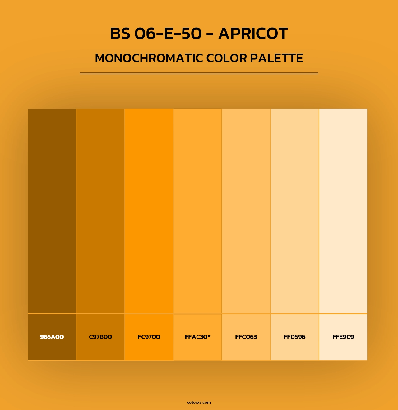 BS 06-E-50 - Apricot - Monochromatic Color Palette
