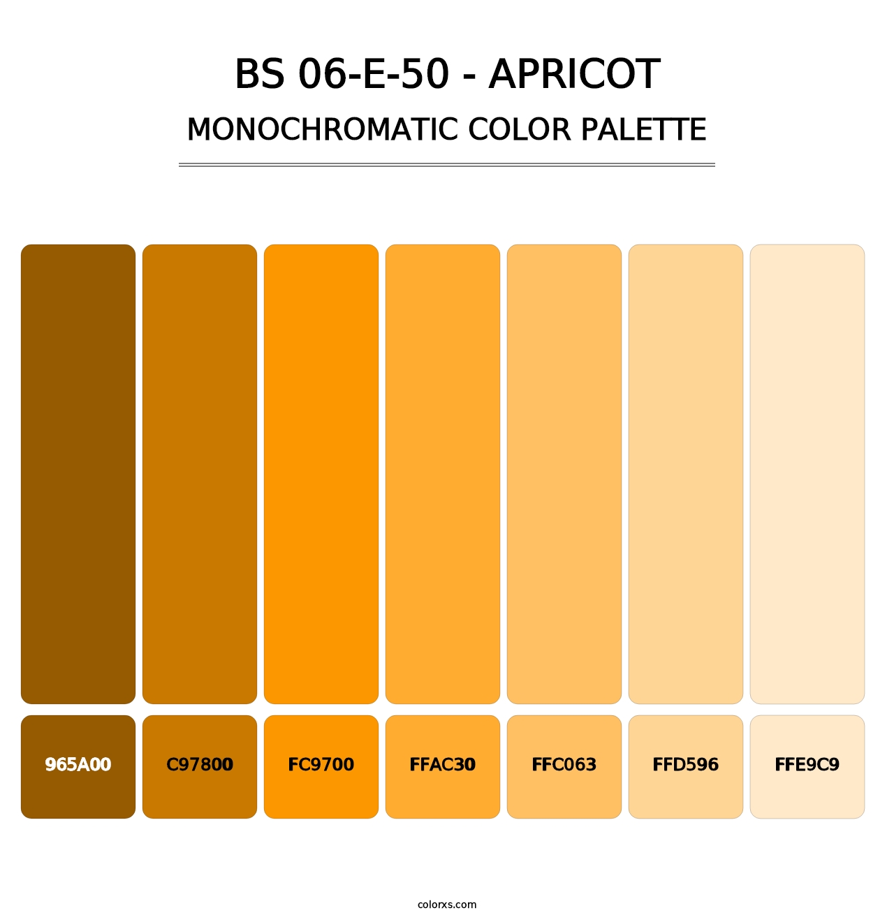 BS 06-E-50 - Apricot - Monochromatic Color Palette