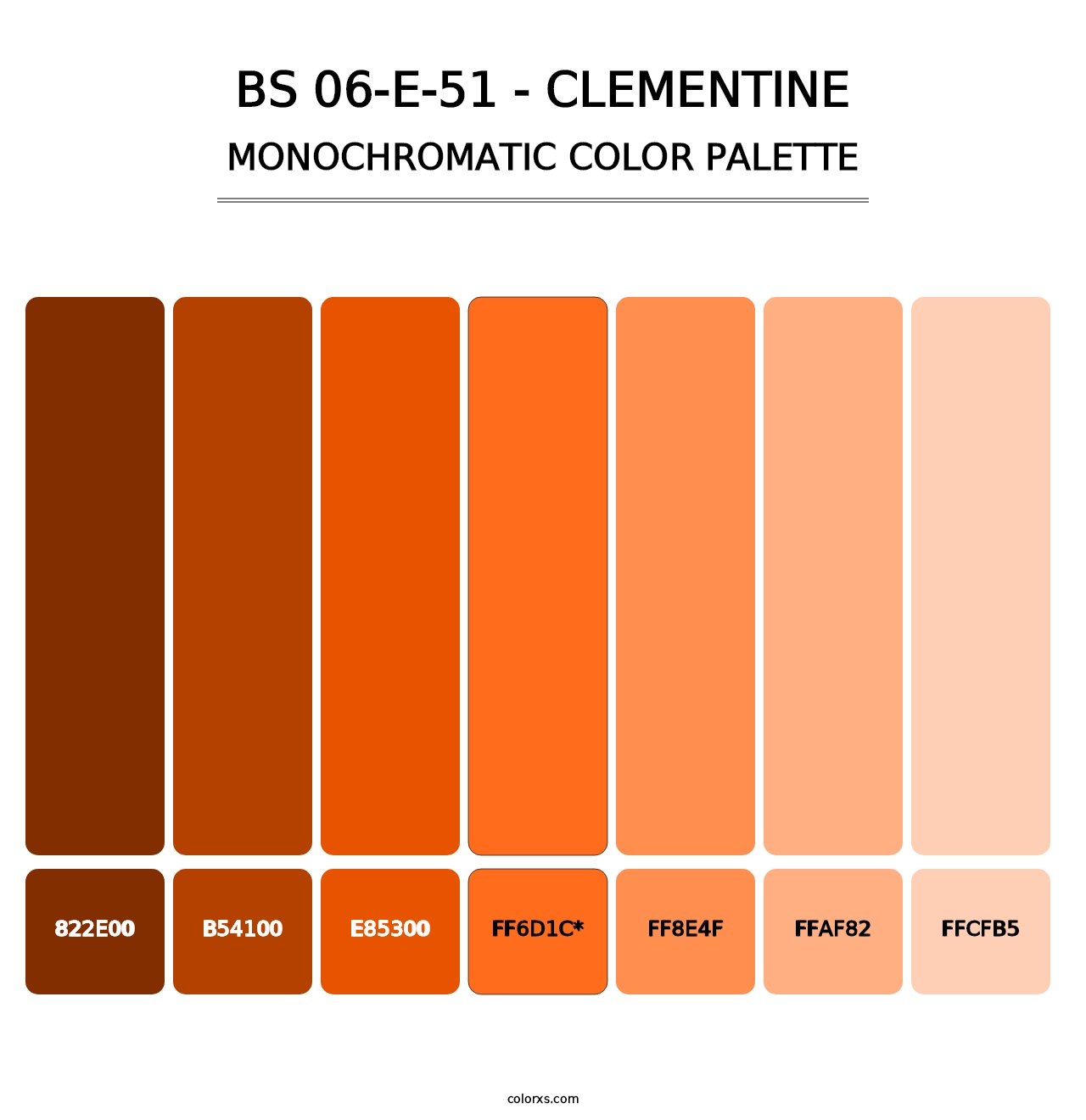 BS 06-E-51 - Clementine - Monochromatic Color Palette