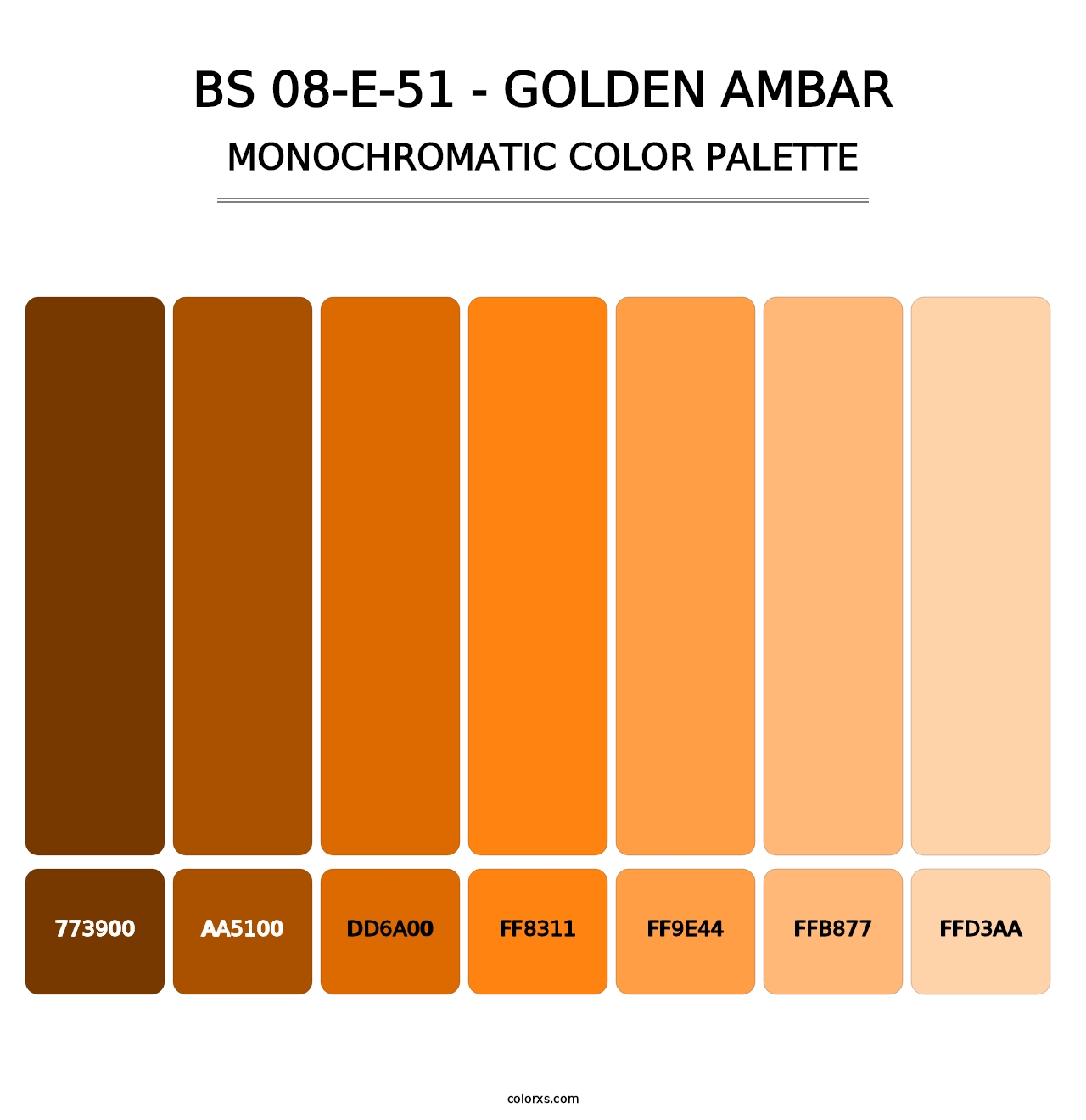 BS 08-E-51 - Golden Ambar - Monochromatic Color Palette