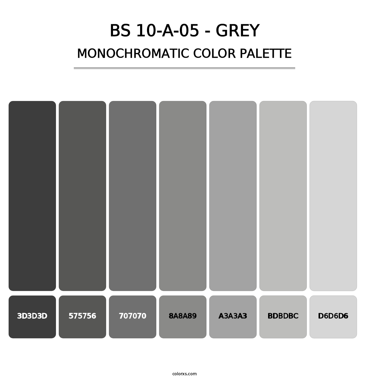 BS 10-A-05 - Grey - Monochromatic Color Palette
