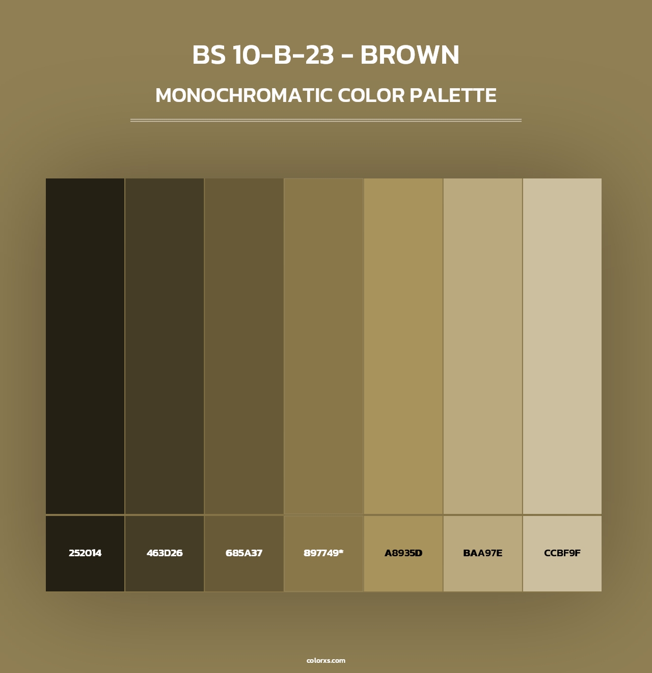 BS 10-B-23 - Brown - Monochromatic Color Palette