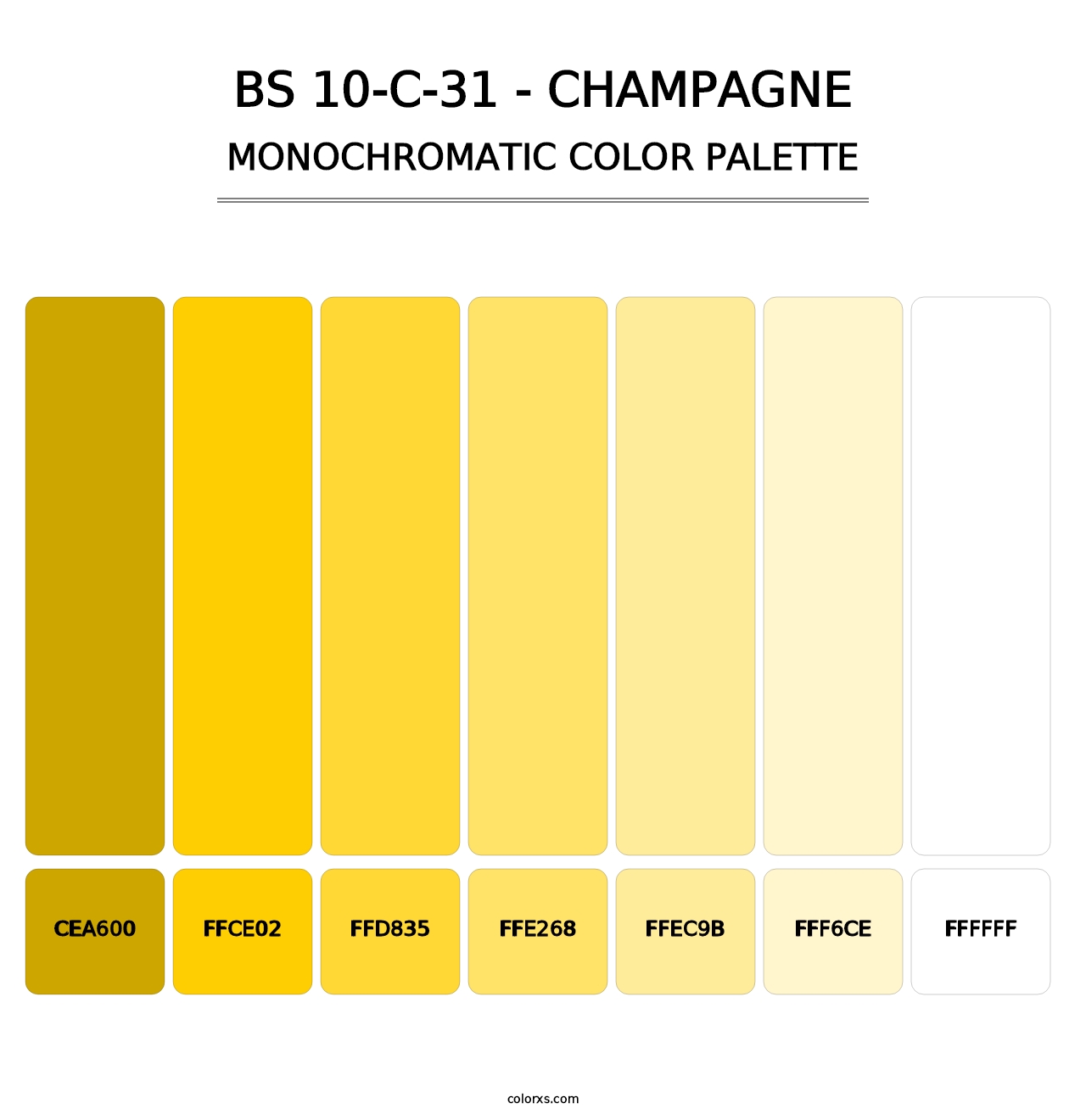 BS 10-C-31 - Champagne - Monochromatic Color Palette