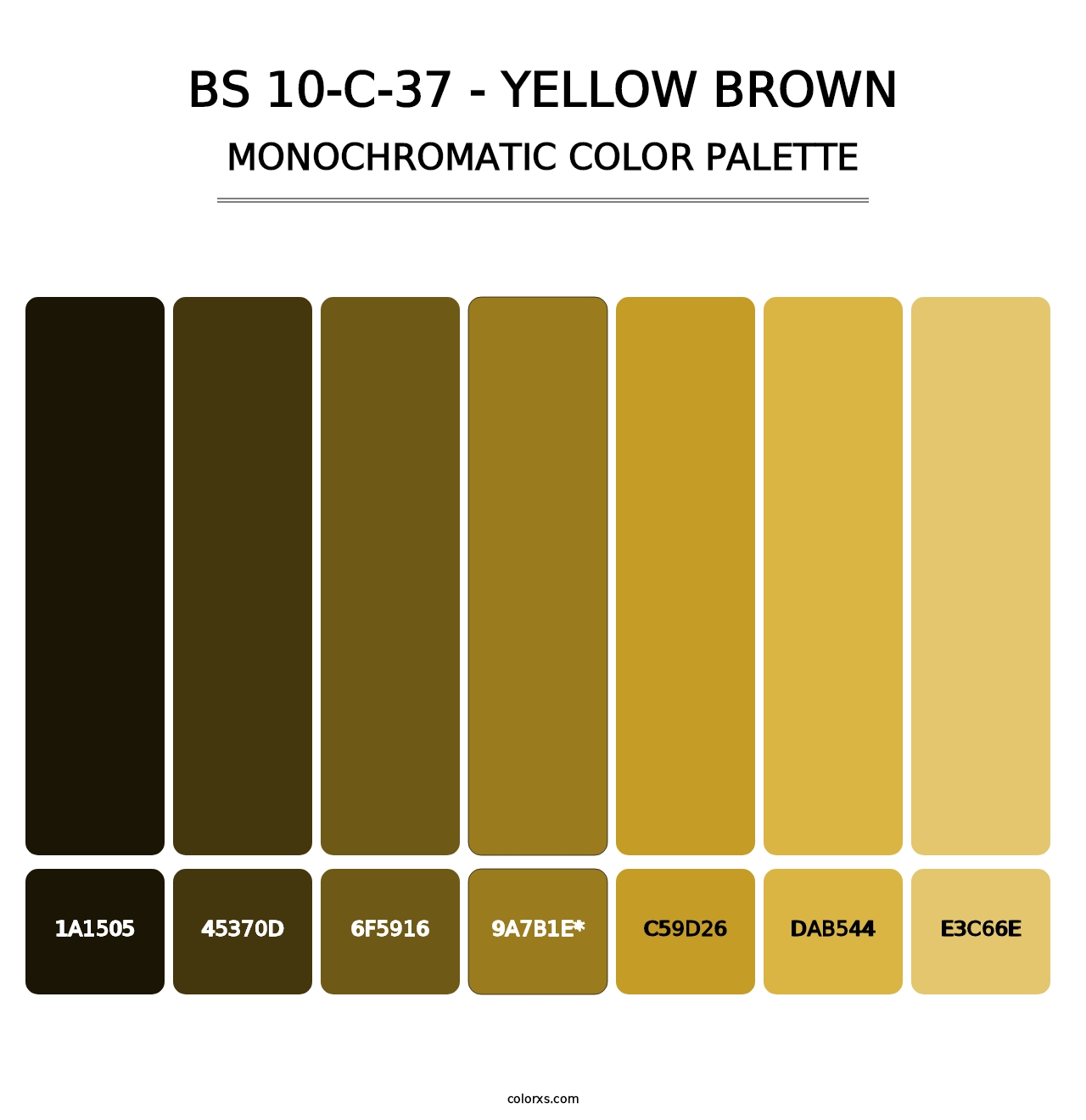 BS 10-C-37 - Yellow Brown - Monochromatic Color Palette