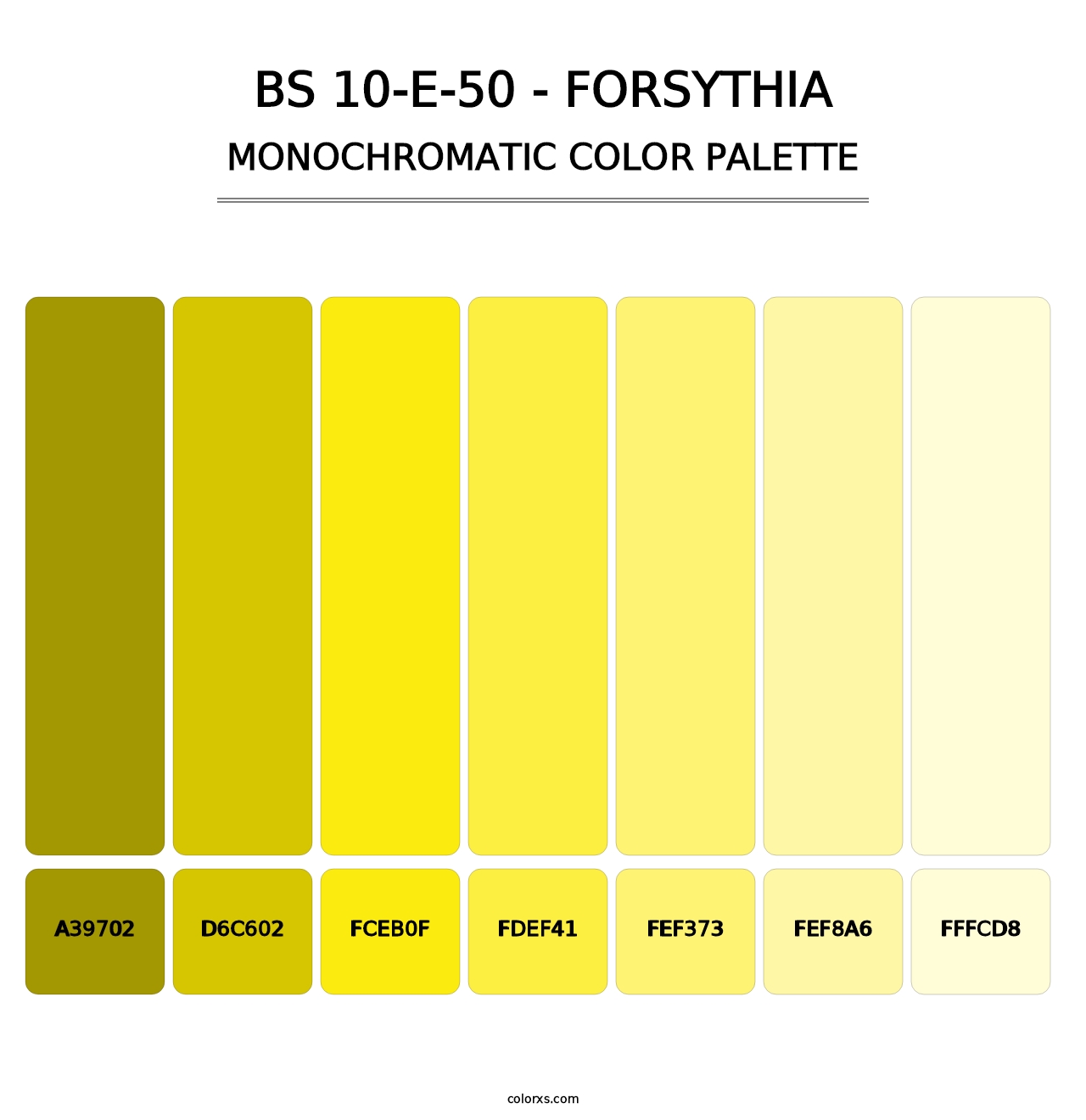 BS 10-E-50 - Forsythia - Monochromatic Color Palette