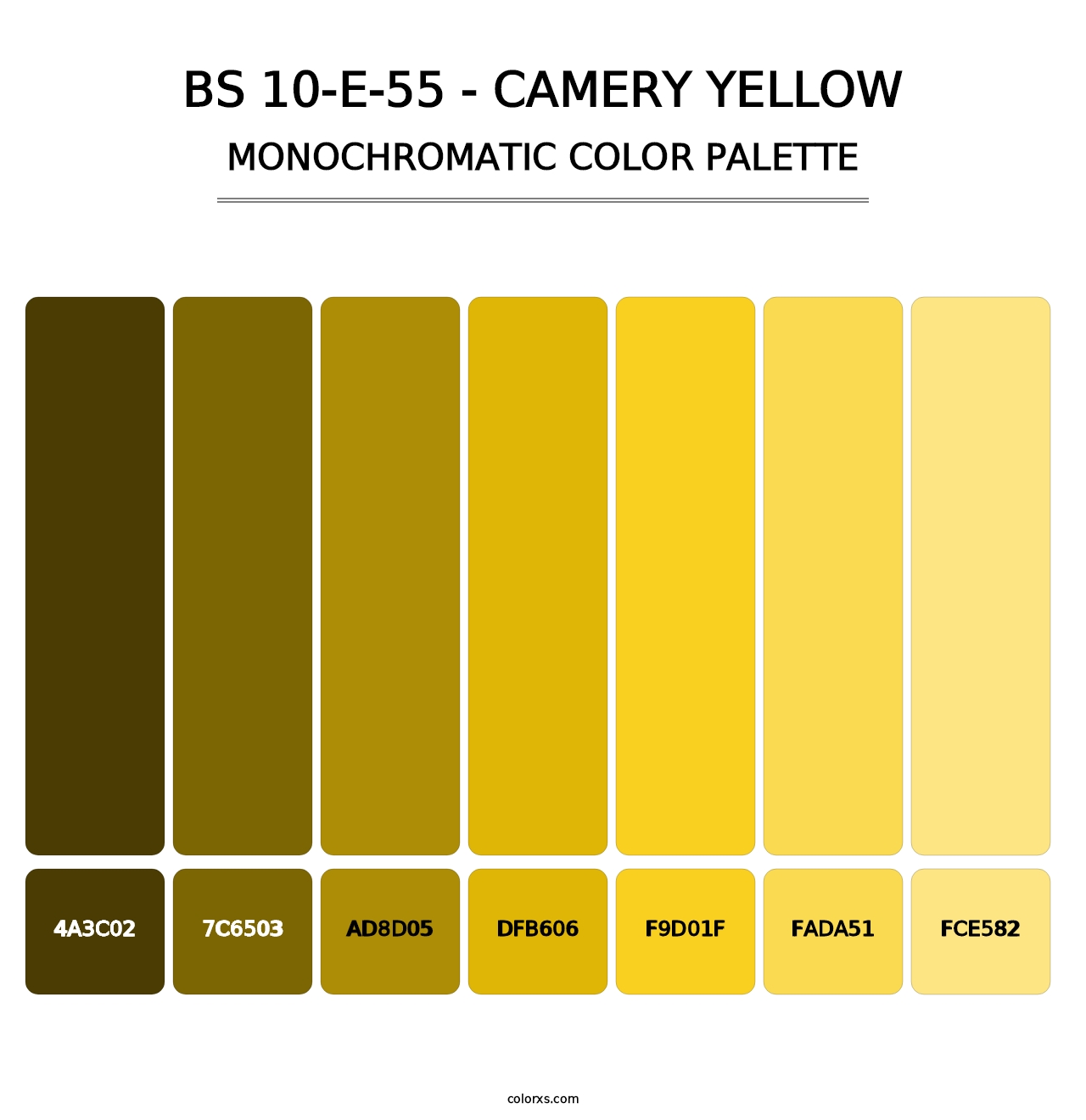 BS 10-E-55 - Camery Yellow - Monochromatic Color Palette