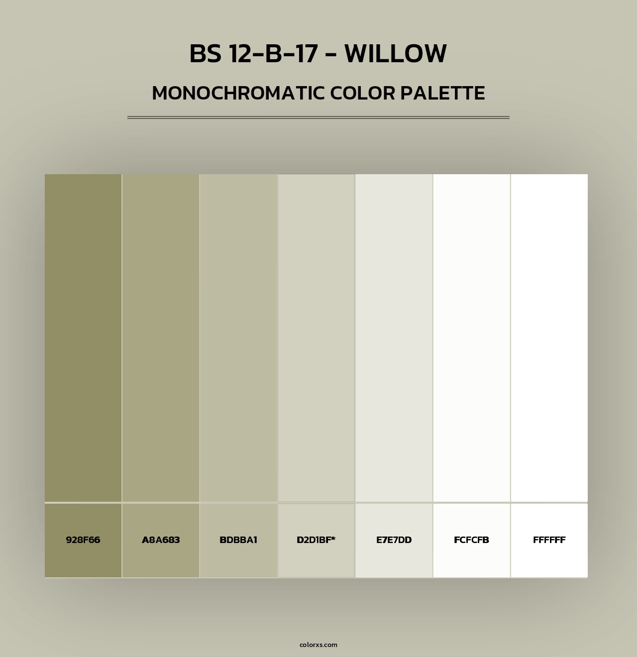 BS 12-B-17 - Willow - Monochromatic Color Palette