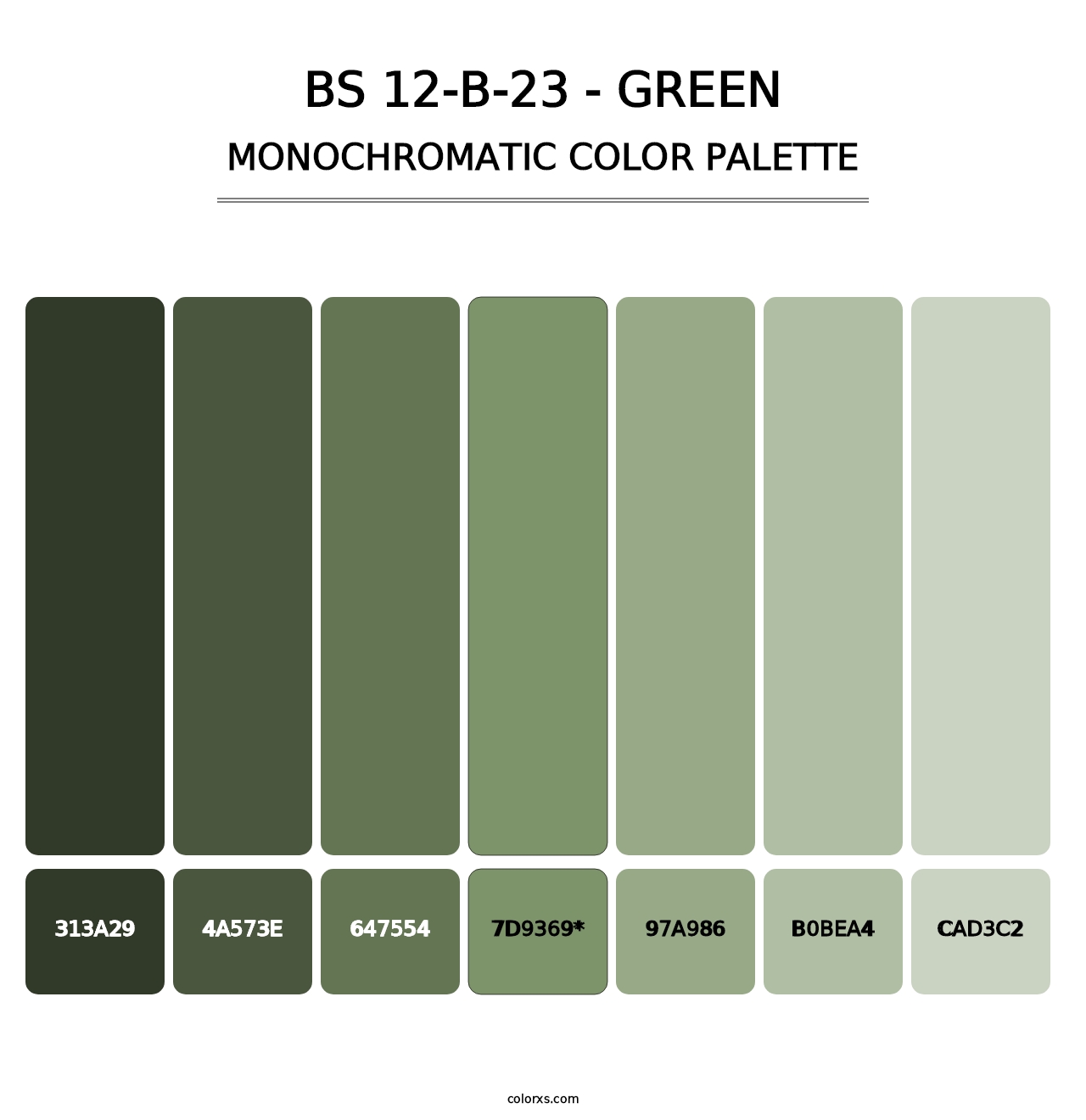 BS 12-B-23 - Green - Monochromatic Color Palette