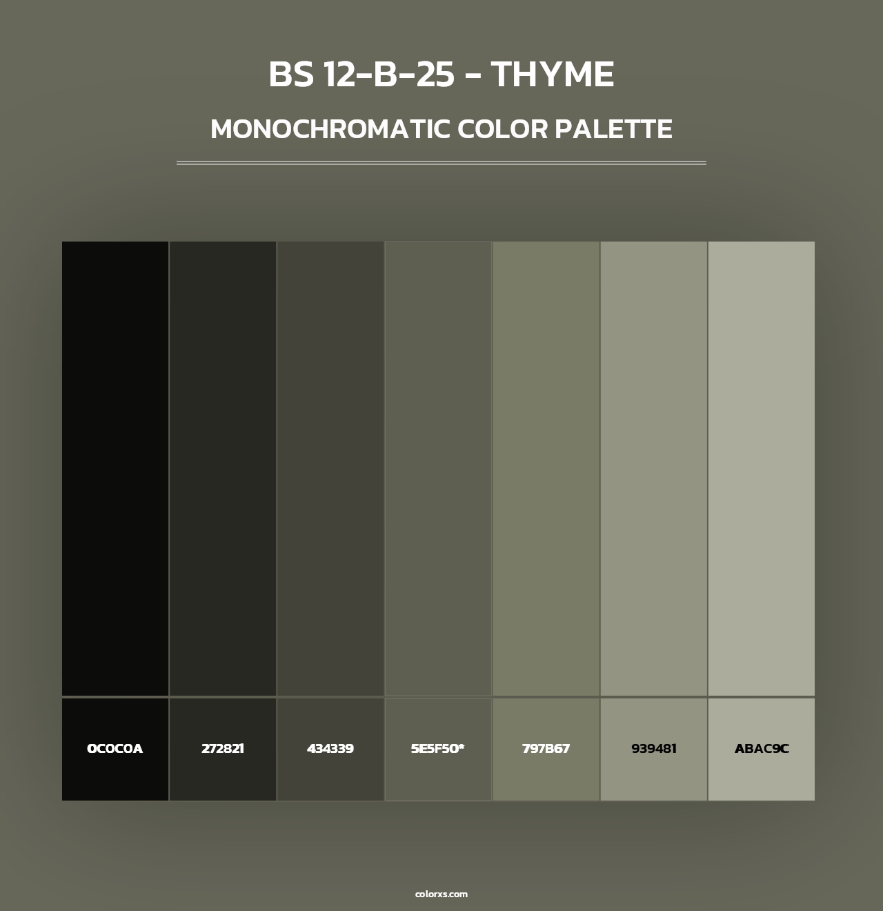 BS 12-B-25 - Thyme - Monochromatic Color Palette