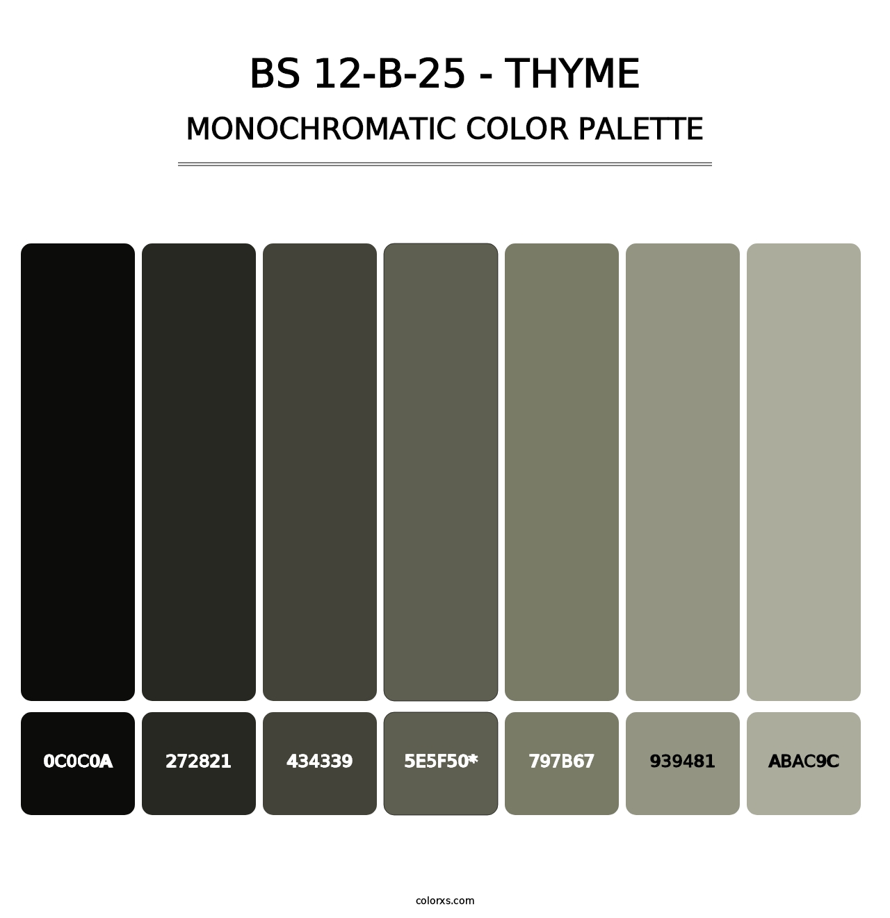 BS 12-B-25 - Thyme - Monochromatic Color Palette